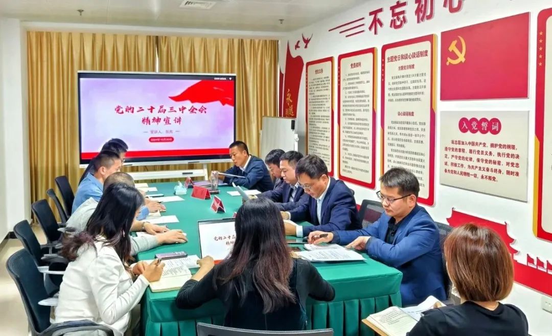 機(jī)場(chǎng)投資公司黨支部宣傳貫徹黨的二十屆三中全會(huì)精神